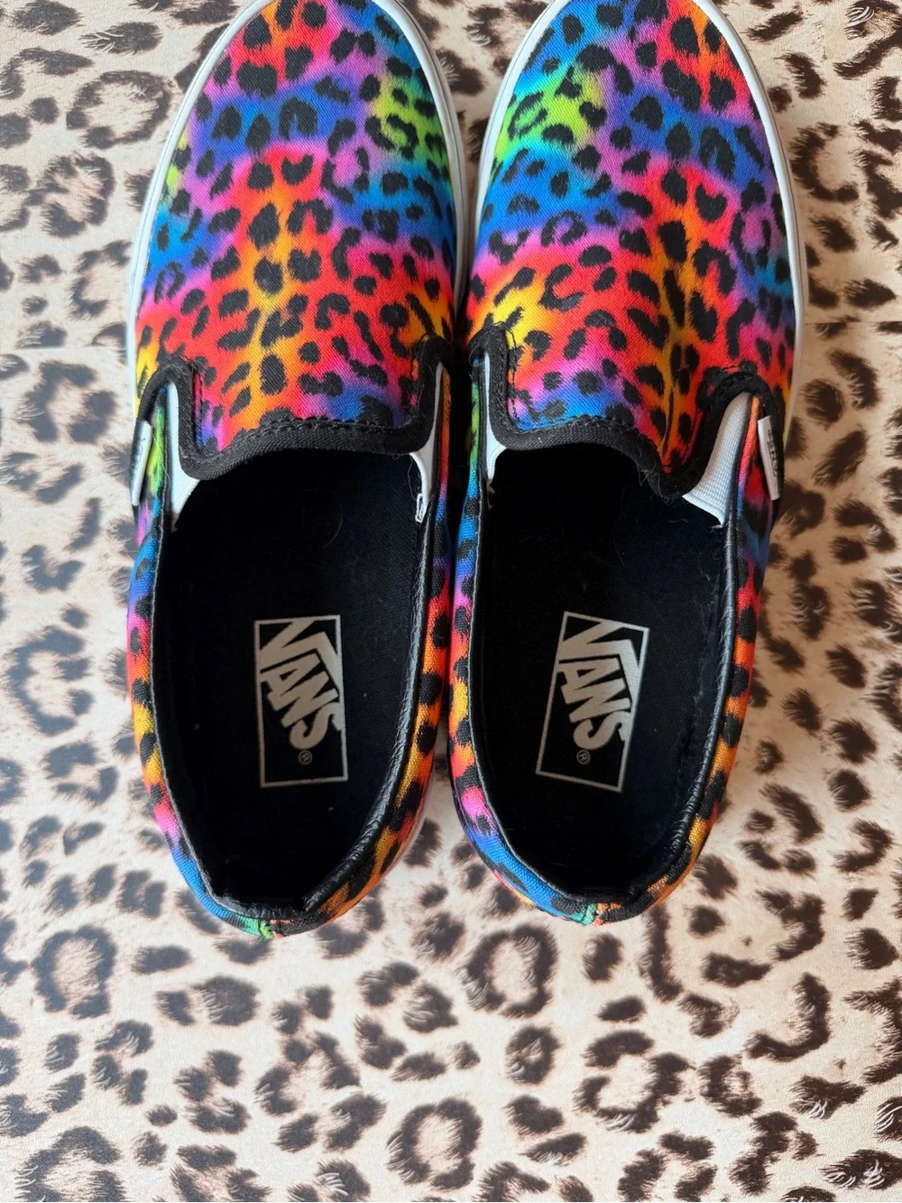 Vans Women’s Rainbow Leopard Slip-On Shoes